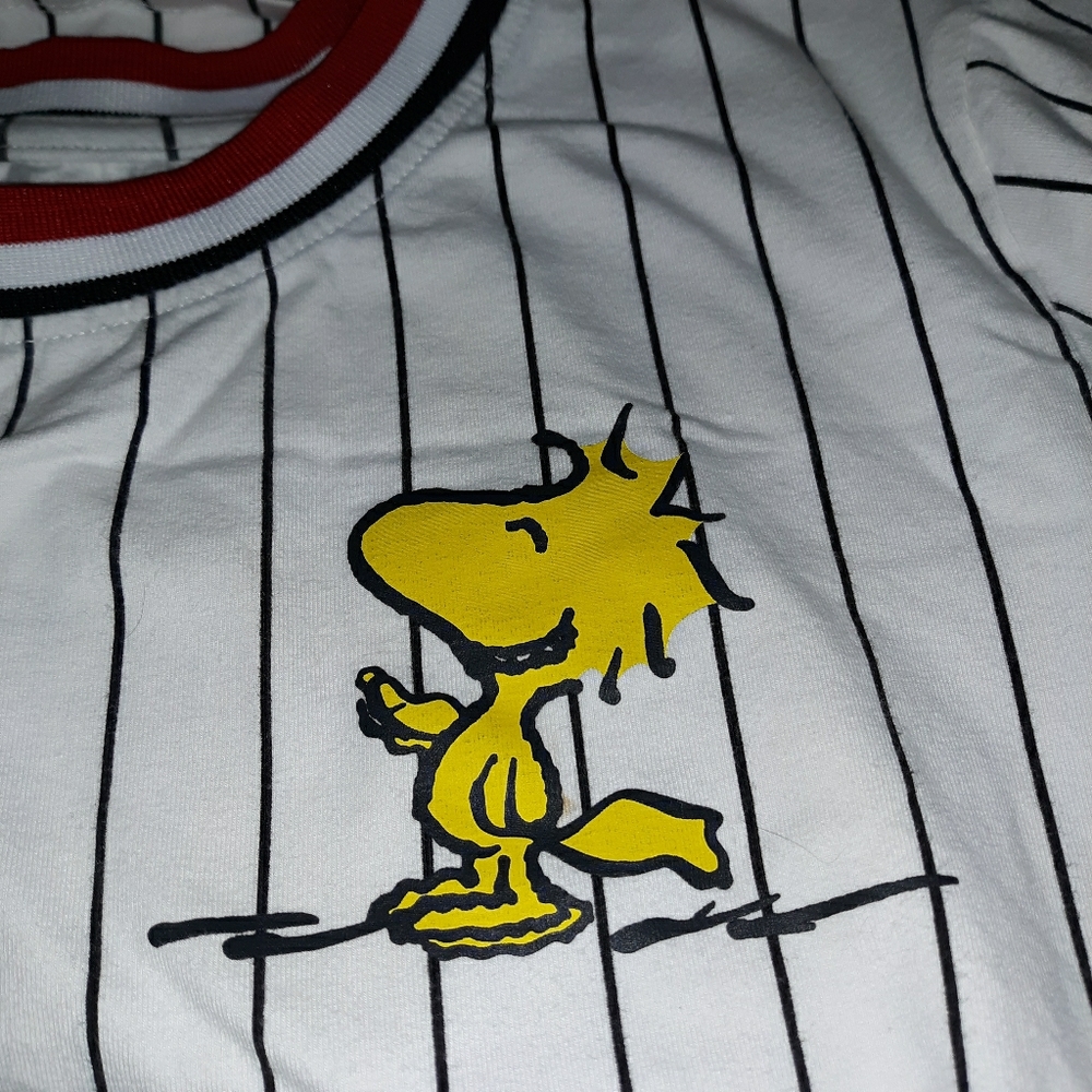 Peanuts 2018 Worldwide LLC Woodstock shirt